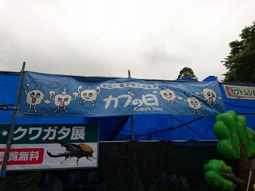 カブの日