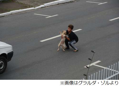 轢かれた犬救出の11歳に反響 車が行き交う道路の真ん中へ駆け寄る 記事画像 Photo 13 12 15 Narinari Com
