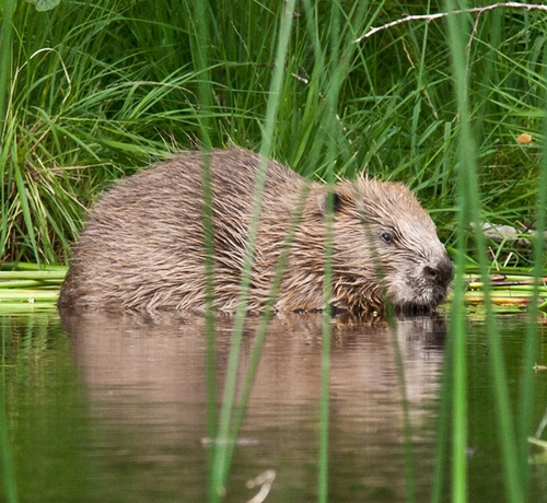 ニュース画像