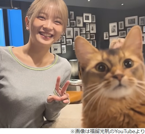 ニュース画像
