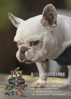 ぶひ可愛い鼻ぺちゃ犬の世界 合同写真 物販展 鼻ぺちゃ展 開催 Narinari Com