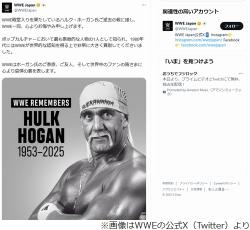 WWE POP ハルクホーガン 未開封 WWE POP ハルクホーガン 未開封 Amazon.co.jp: Funko Pop